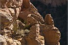 Shaft House Ruin