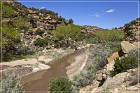 Trail to Simon Ruins