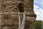 Truby's Tower