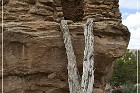 Truby's Tower