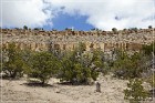 Puye Cliff Dwellings