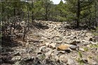 Rattlesnake Ridge Ruins