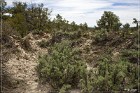 Rattlesnake Ridge Ruins