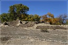 Salmon Ruins