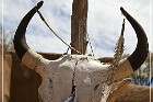 Taos Pueblo