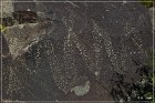 Three Rivers Petroglyph Site