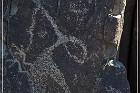Three Rivers Petroglyph Site