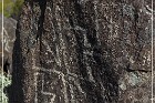 Three Rivers Petroglyph Site