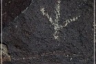 Three Rivers Petroglyph Site