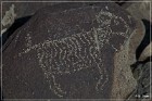 Three Rivers Petroglyph Site