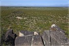 Three Rivers Petroglyph Site