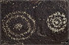 Three Rivers Petroglyph Site