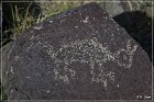 Three Rivers Petroglyph Site