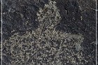 Three Rivers Petroglyph Site