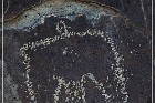 Three Rivers Petroglyph Site
