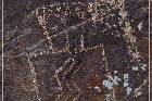 Three Rivers Petroglyph Site
