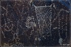 Three Rivers Petroglyph Site
