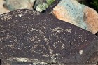 Three Rivers Petroglyph Site