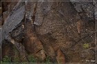 Parowan Gap Petroglyphs