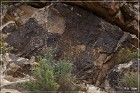 Parowan Gap Petroglyphs