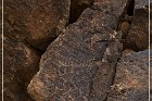 Parowan Gap Petroglyphs
