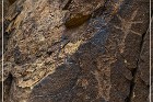 Parowan Gap Petroglyphs