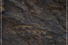 Parowan Gap Petroglyphs