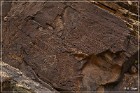 Parowan Gap Petroglyphs