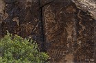 Parowan Gap Petroglyphs