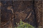Parowan Gap Petroglyphs