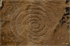 Bloomington Petroglyphs