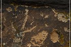 Bloomington Petroglyphs