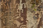 Bloomington Petroglyphs