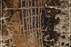 Bloomington Petroglyphs