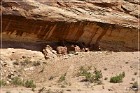 Butler Wash Road Cliff Dwellings