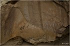 Dinosour NM - Cub Creek Road