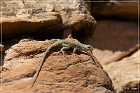 Dinosour NM - Cub Creek Road