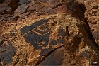 Dinosour NM - Cub Creek Road
