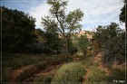 Road Canyon, der Wächter