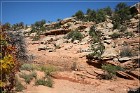Mule Canyon, Weg zum House on Fire