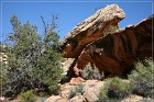 Mule Canyon, Weg zum House on Fire