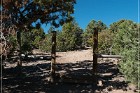 Lion's Mouth Pictographs Trailhead
