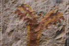 Lion's Mouth Pictographs