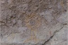 Lion's Mouth Pictographs