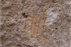 Lion's Mouth Pictographs
