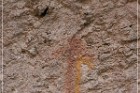 Lion's Mouth Pictographs