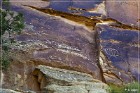 McConkie Ranch Petroglyphs