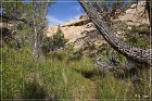 Monarch Cave Ruin