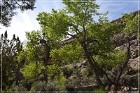 Monarch Cave Ruin