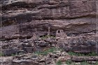 Bradford Ruin